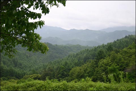 아름다운 산촌의 여름, 안흥면 송한리에서 바라본 멧부리 